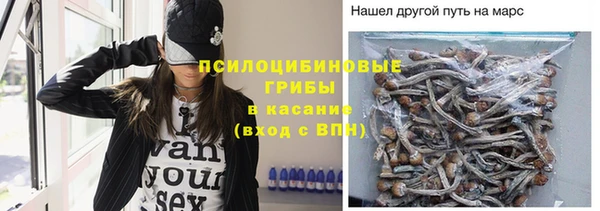 таблы Михайлов