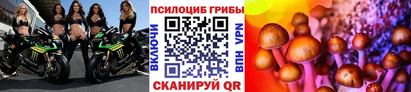 Галлюциногенные грибы Magic Shrooms  Тотьма 